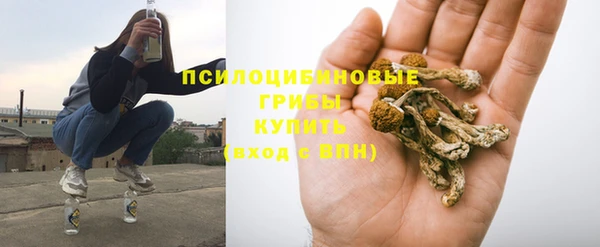 крисы Иноземцево