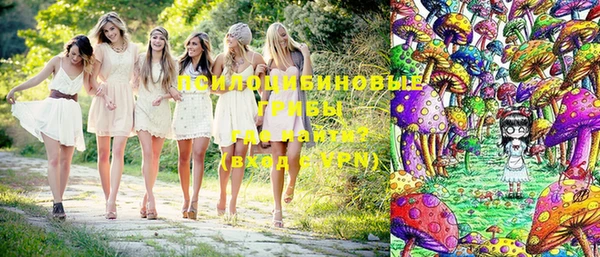 крисы Иноземцево