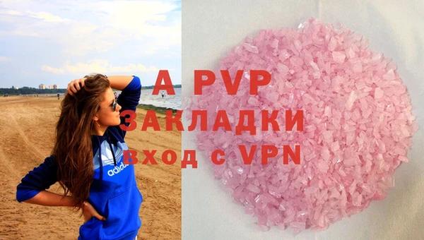индика Щучье