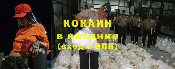 крисы Иноземцево