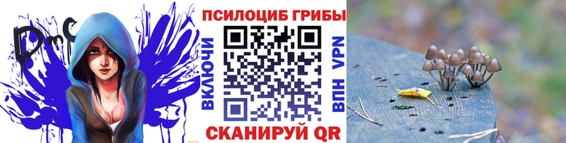 Галлюциногенные грибы прущие грибы  где можно купить наркотик  Батайск 